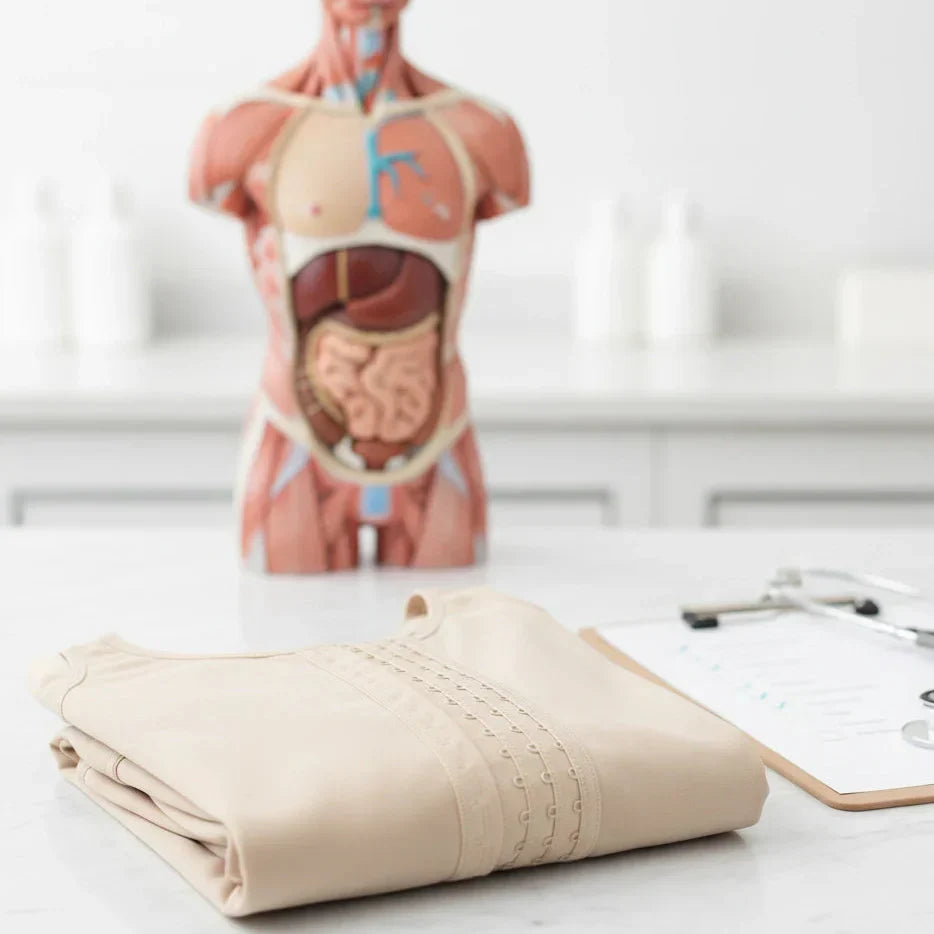 Anatomical model of a human body with internal organs on a white surface, next to a folded beige blanket and a stethoscope.